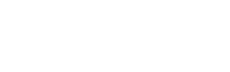 サイバー大学
